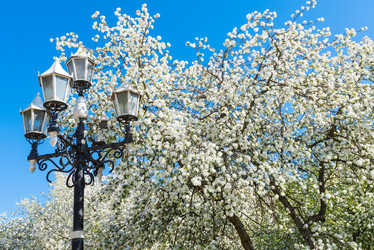 Similar image 19188503