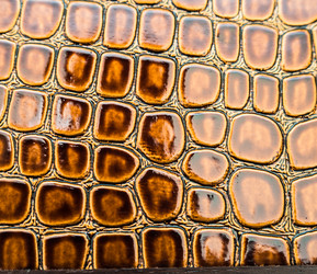 Similar image 19188504