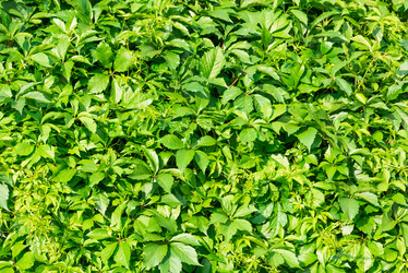 Similar image 19188538