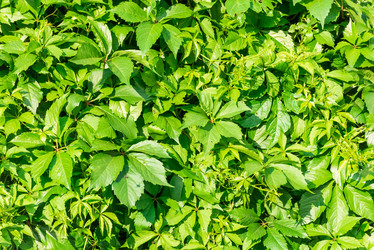 Similar image 19188539