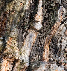 Similar image 19188540