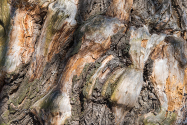 Similar image 19188559