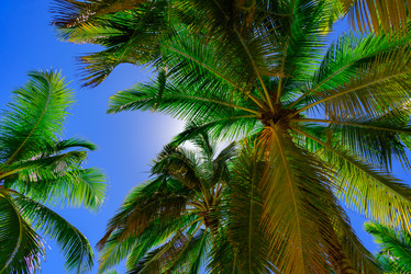 Similar image 19188563