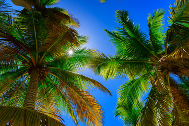 Similar image 19188564