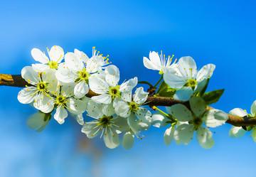 Similar image 19188820