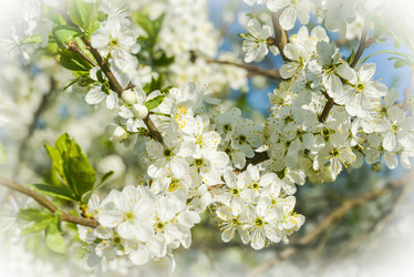 Similar image 19188837