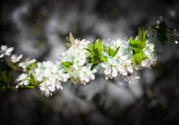 Similar image 19188838