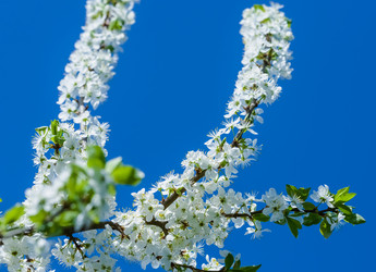 Similar image 19188839