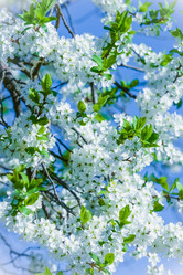 Similar image 19188862