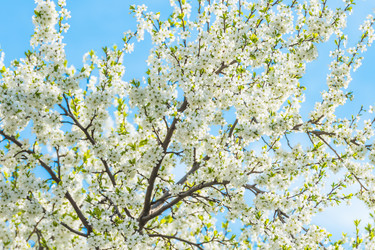 Similar image 19188863