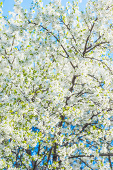 Similar image 19188865