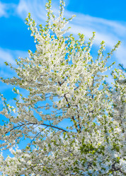 Similar image 19188866