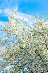 Similar image 19188867