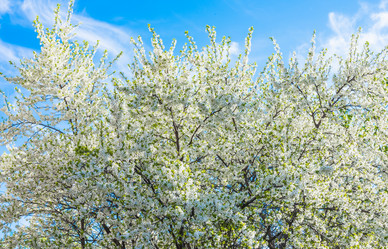 Similar image 19188876