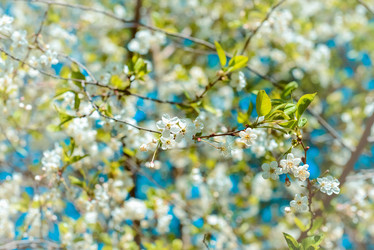 Similar image 19188880