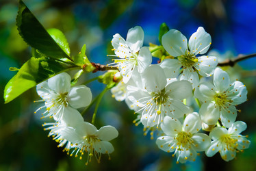 Similar image 19188892