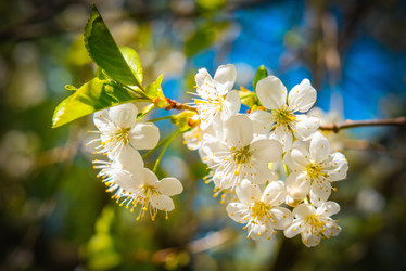 Similar image 19188895