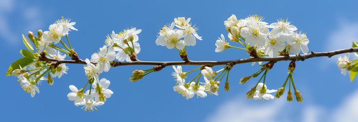 Similar image 19188894