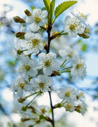 Similar image 19188897