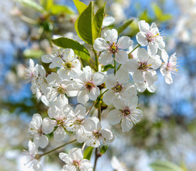 Similar image 19188901