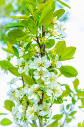 Similar image 19188902