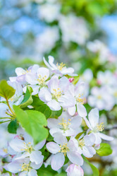 Similar image 19188903