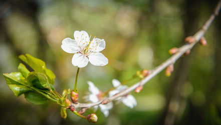 Similar image 19188905