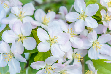 Similar image 19188906