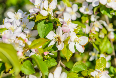 Similar image 19188926