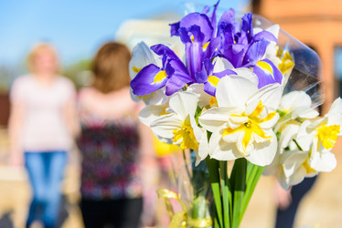 Similar image 19188927