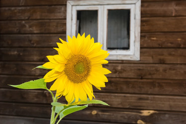 Similar image 19188931