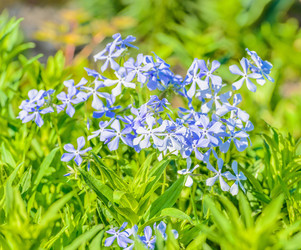 Similar image 19188954