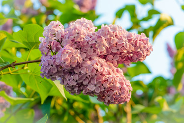 Similar image 19188962