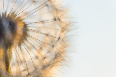 Similar image 19188963