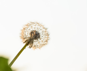 Similar image 19188981