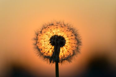 Similar image 19188967