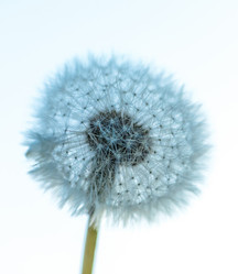 Similar image 19188968