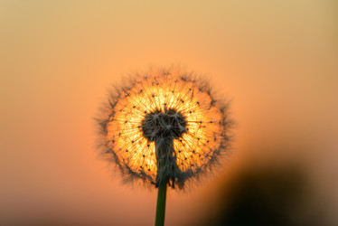 Similar image 19188969