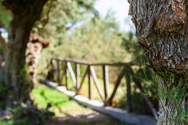 Similar image 19189781