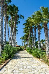 Similar image 19189110