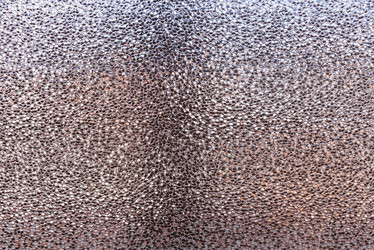 Similar image 19189152