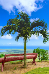 Similar image 19188411