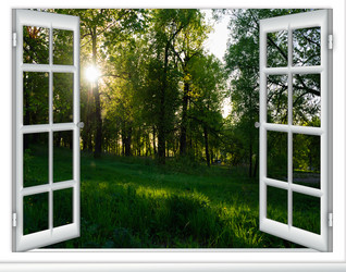 Similar image 19188644