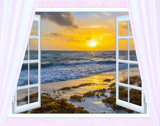 Similar image 19188450