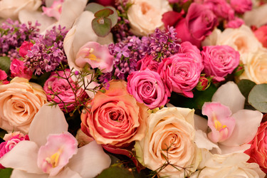 Similar image 19200119