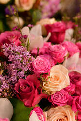 Similar image 19200124