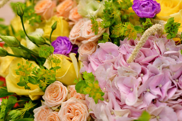 Similar image 19200135