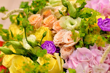 Similar image 19200138