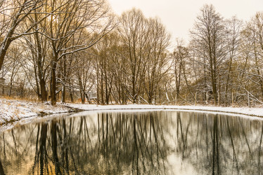 Similar image 19188749