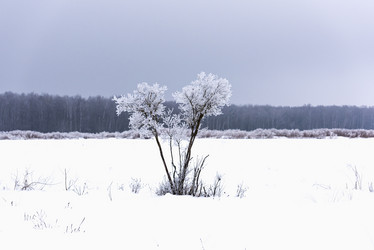 Similar image 19188996